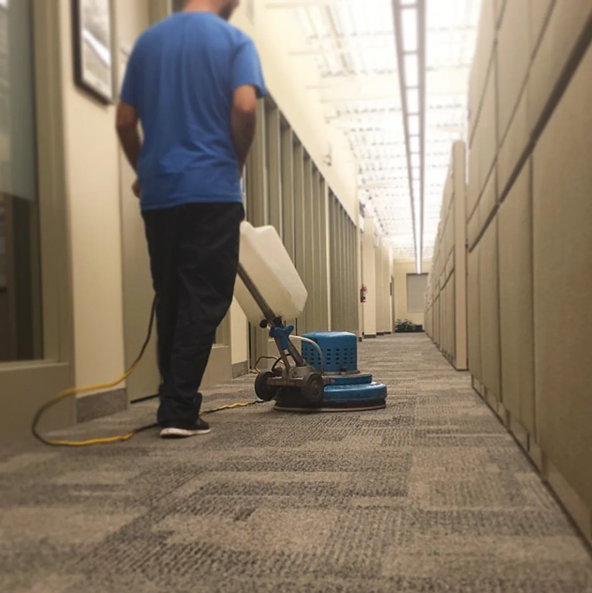 Carpet Cleaning